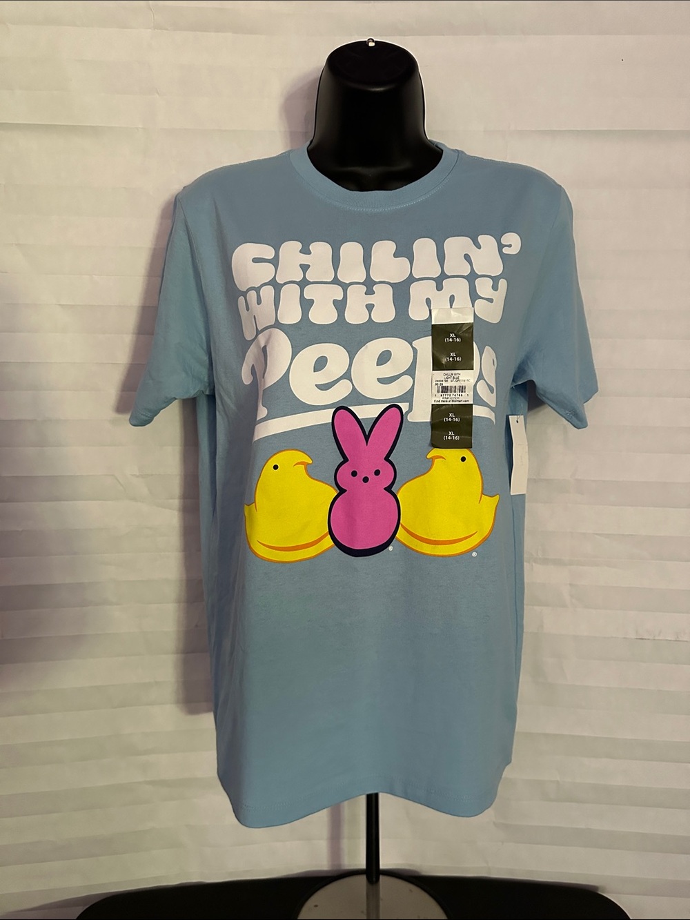Girls Baby Blue Peeps Graphic T-Shirt "Chilling with my Peeps" Size 14/16